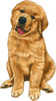 perro amante acuarela adorable animal png