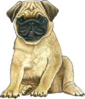 chien amoureux aquarelle adorable animal png