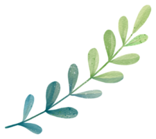 Green leaf watercolor element png