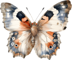 ancien papillon aquarelle png