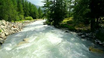 Montagne rivière dans Italie. Alpes montagnes. video