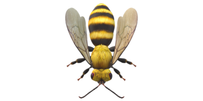 Bee isolated on a Transparent Background png