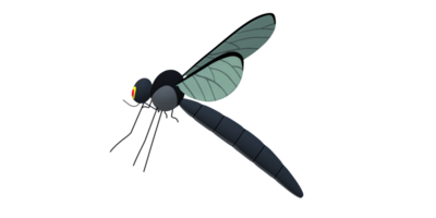 mosquito isolado em uma transparente fundo png