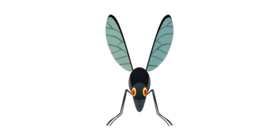 Mosquito isolated on a Transparent Background png