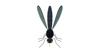 Mosquito isolated on a Transparent Background png