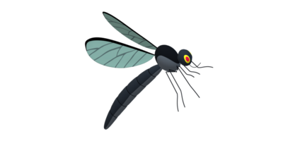 mosquito isolado em uma transparente fundo png