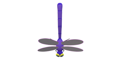 Dragon Fly isolated on a Transparent Background png