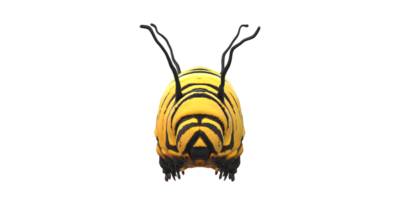 Caterpillar isolated on a Transparent Background png