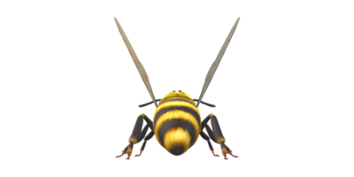 Bee isolated on a Transparent Background png