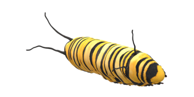 Caterpillar isolated on a Transparent Background png