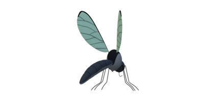 Mosquito isolated on a Transparent Background png