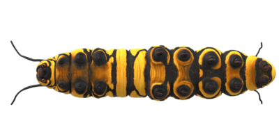 Caterpillar isolated on a Transparent Background png