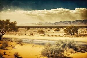 Evaporated desert landscape. photo