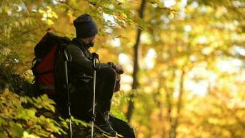 caminhante com mochila levando uma momento para apreciar cênico floresta outono folhagem video