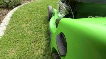 bakgård trädgård underhåll. gräs klippning använder sig av professionell gräsklippare. video