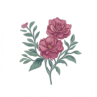 waterverf roze bloem clip art, bloemen illustratie, botanisch illustratie, bloemen elementen, roze bloesems, digitaal bloem illustraties, bloemen elementen in waterverf medium. png
