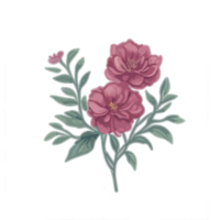 aquarelle rose fleur clipart, fleurs illustration, botanique illustration, floral éléments, rose fleurs, numérique fleur illustrations, floral éléments dans aquarelle moyen. png