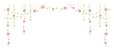 Hanging vines with pink flowers vector illustration. Simple minimal floral botanical vine curtain design elements for spring.