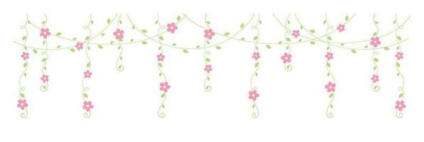 Hanging vines with pink flowers vector illustration. Simple minimal floral botanical vine curtain design elements for spring.