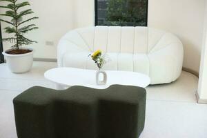 white and black sofa with table and sunflower vase and pine in pots in cafe photo
