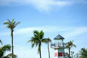 lighthouse with palm tree and blue sky with clouds photo