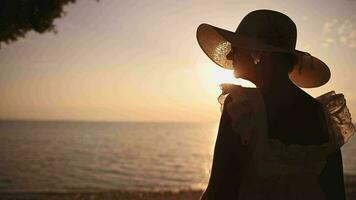 vrouw in zon hoed en de toneel- oceaan zonsondergang video