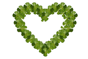 modelo formar símbolo de corazón y amor icono png