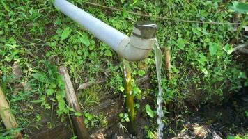 claro muelles viniendo fuera de tubería en el suelo en rural áreas, será ser canalizado a el agricultores' plantaciones video