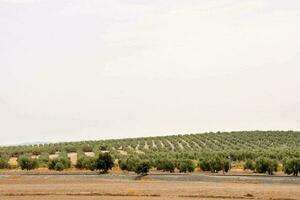 Scenic rural view photo