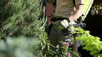 jardin insecticide par pulvérisation. caucasien ouvrier dans le sien 30s pulvérisation jardin des arbres en utilisant professionnel équipement à tuer insectes. video