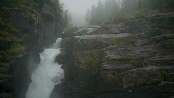 Wildnis und das Fluss im das Norwegen. szenisch Wasserfall video