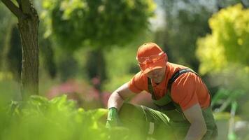 caucasien Hommes dans une jardin. aménagement paysager emploi. video