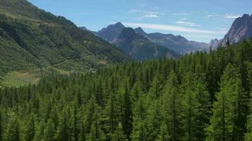 alpino silvicultura e montanha panorama dentro a norte Itália alpino região video