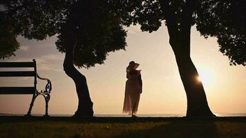 gepensioneerd vrouw genieten van zeegezicht zonsondergang uitzicht video