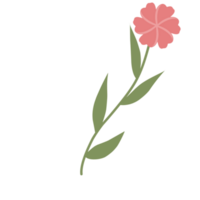 Blumen- zum Hochzeit Dekorationen png