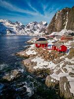 Red fishing cabins in Lofoten Norway by drone, rorbuer snow mountain photo