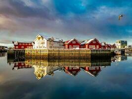 rojo pescar cabañas en lofoten Noruega reflejando en el agua en amanecer por zumbido foto