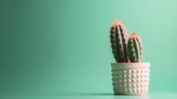 Cactus in a pot on green background. Minimal concept. photo