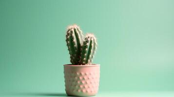 Cactus in a pot on green background. Minimal concept. photo