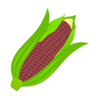 Appetizing sweet corn png