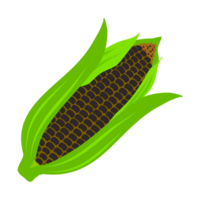 Appetizing sweet corn png