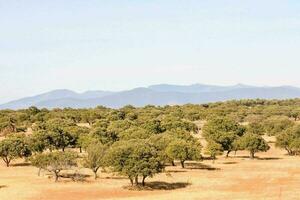 Scenic rural view photo