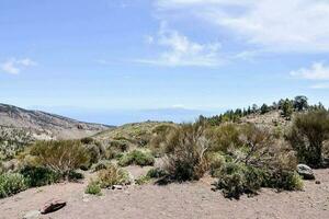 Scenic desert view photo