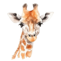 Cute Giraffe Head Watercolor Clipart Transparent Background File - png