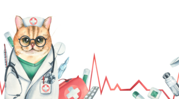 Cat doctor in a dressing gown, glasses, with a stethoscope, a suitcase and medical instruments, pills, injections. Watercolor illustration, hand drawn. Template png