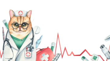 gato médico dentro uma vestir vestido, copos, com uma estetoscópio, uma mala de viagem e médico instrumentos, pílulas, injeções. aguarela ilustração, mão retirou. modelo png