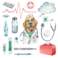 Hund Arzt, mit ein Stethoskop, ein Koffer und medizinisch Instrumente, Pillen, Injektionen. Aquarell Illustration, Hand gezeichnet. png