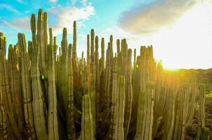 Scenic desert view photo