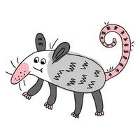 Doodle american opossum isolated on white background. Perfect for tee, textile and print. vector