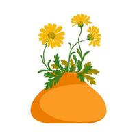 Dandelions plant in pot isolated on white background. Floral botanical daisy bouquet yellow flowers and green leaves vector illustration. Graphic design for greeting, banner, holiday, celebration, art